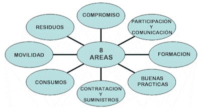 areas de actuacion