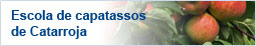 escuela de capatases