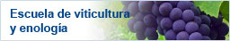 escuela de viticultura
