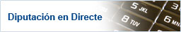 Diputación en Directe