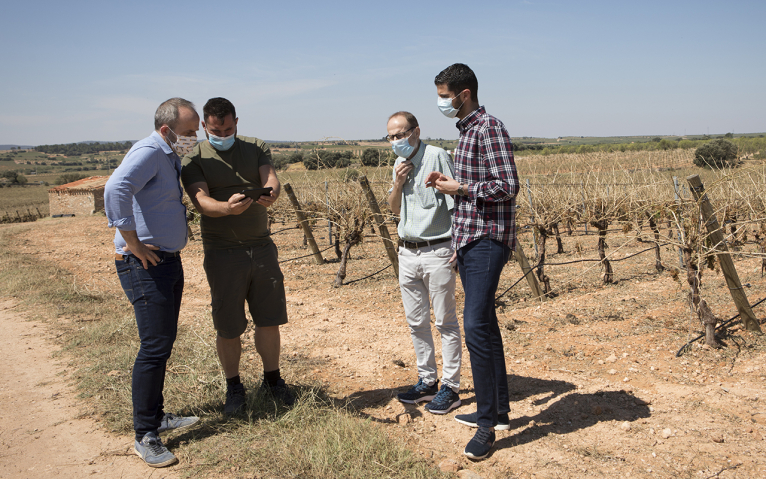 Les brigades de la Diputació ajudaran la comarca Requena-Utiel a netejar camins i camps després de la pedregada