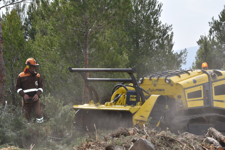 Les brigades forestals de la Diputació condicionen un tallafocs de 27 hectàrees a Domeño Viejo