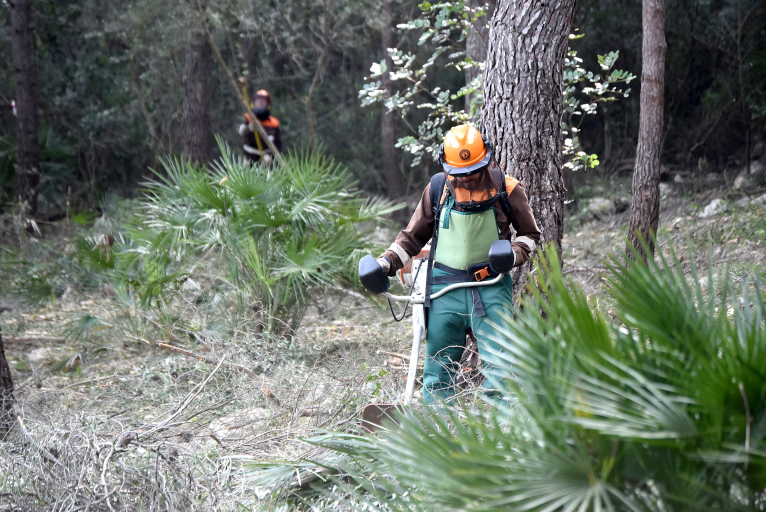 Les brigades forestals de la Diputació reprenen els seus treballs de silvicultura per a previndre incendis
