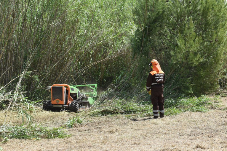 Riba-roja recuperarà la vegetació de ribera al costat del riu Túria amb l'ajuda de la Diputació
