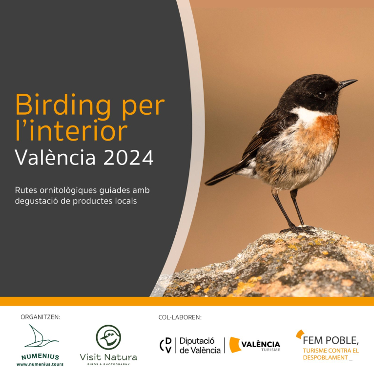 La Diputació de València impulsa el turisme d'observació d'aus a l'interior de la província