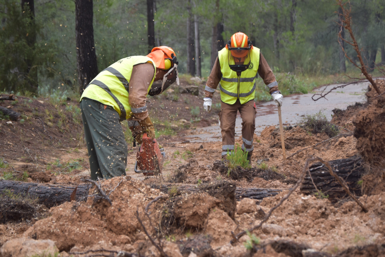 La Diputació reforça la prevenció d'incendis amb la contractació de 47 nous brigadistes forestals
