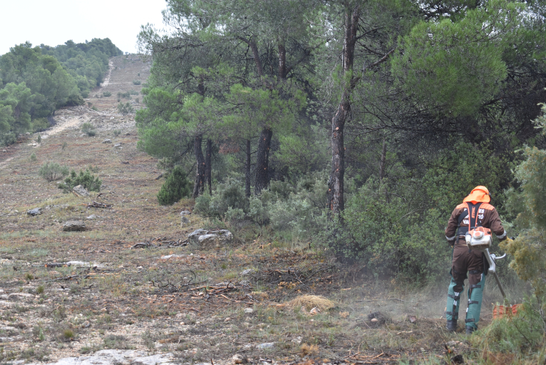 Les brigades de la Diputació condicionen 90.000 m2 d'un tallafocs a Utiel