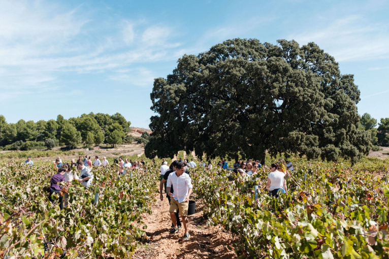 La Diputació de València celebra el Día Mundial del Turismo 2024 con actividades en diversos municipios