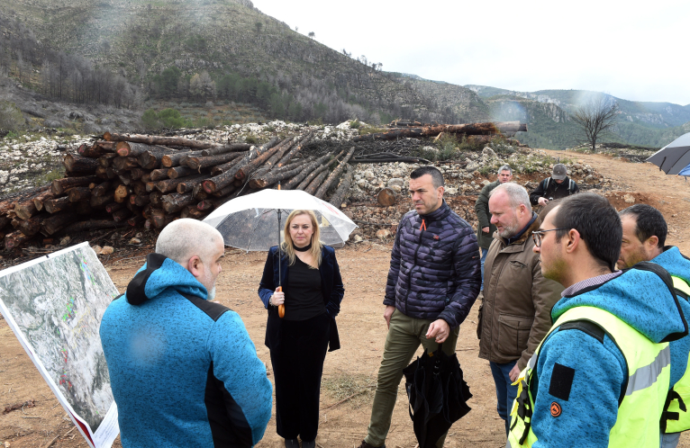 La Diputació conclourà en dos mesos la major part dels treballs de regeneració forestal després de l'incendi de Montitxelvo