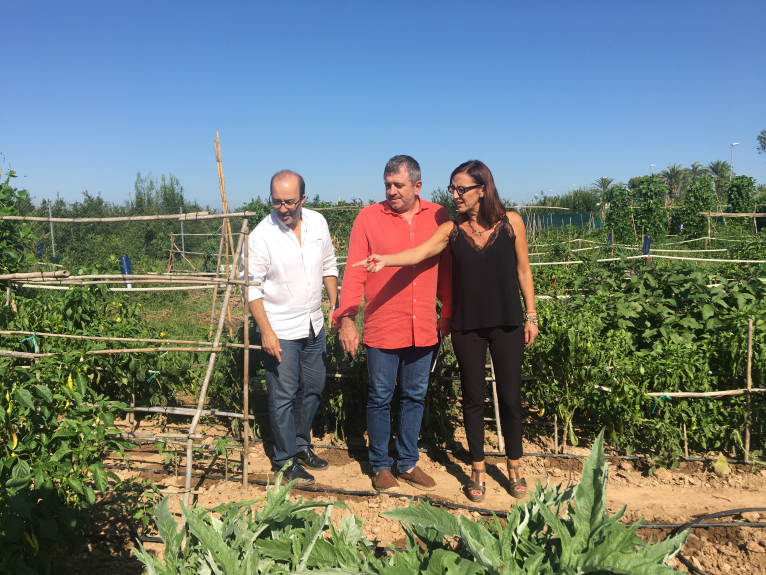 Alzira reconvierte más de dos mil metros de terreno abandonado en huertos ecológicos con la ayuda de la Diputació