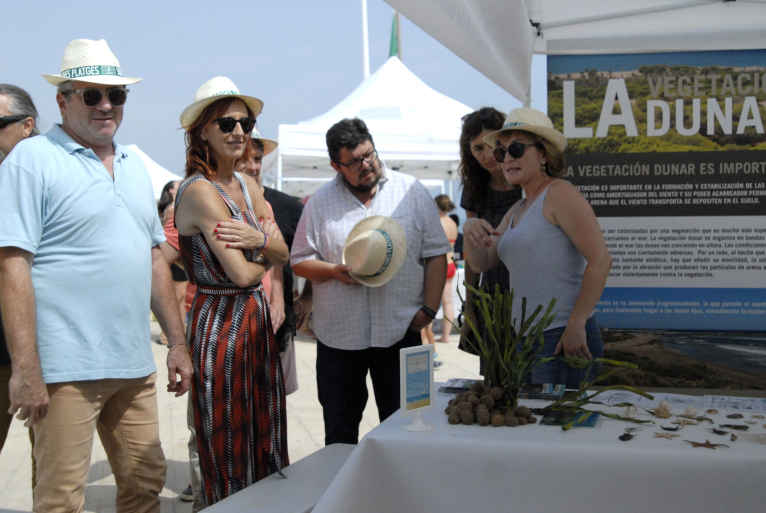 La Diputació promou la conscienciació per a la conservació i protecció de la posidònia oceànica 