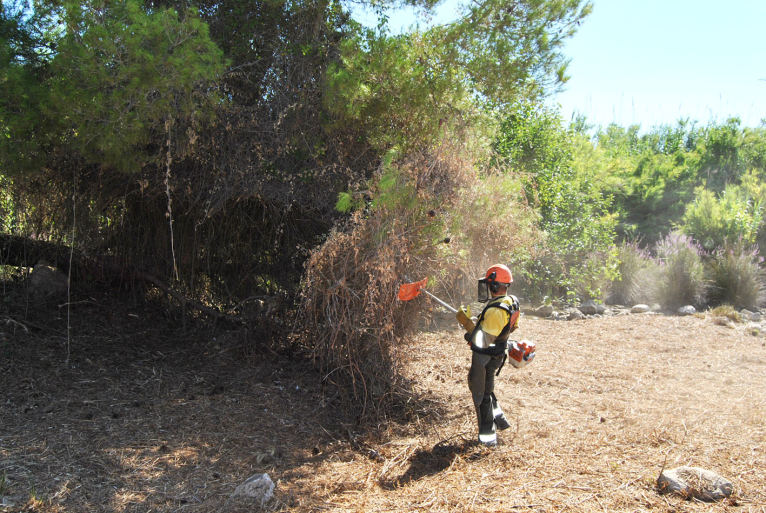 Les brigades forestals de la Diputació de València condicionen el llit del riu de Sellent a Chella