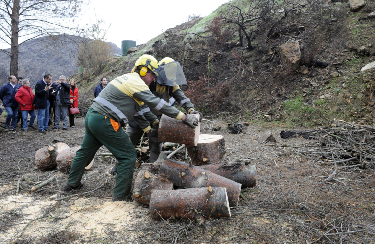 La Diputación pone sus brigadas forestales a disposición de los municipios para limpiar barrancos