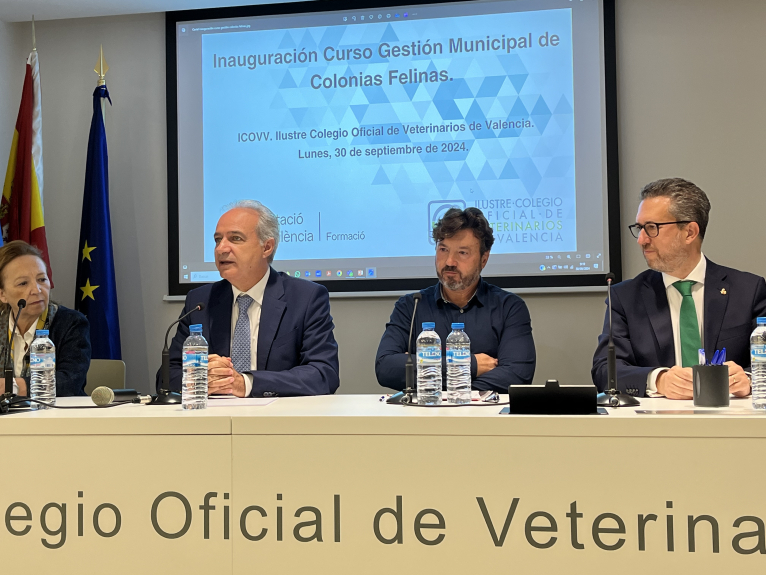 La Diputació de València reforça la formació als ajuntaments en la gestió de colònies felines