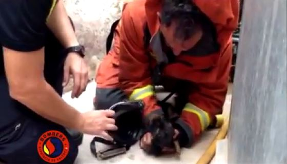 Un bombero del Consorcio reanima a un cachorro de perro tras el incendio de su vivienda
