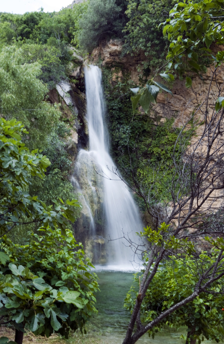 Rutas medioambientales Cortes de Pallás