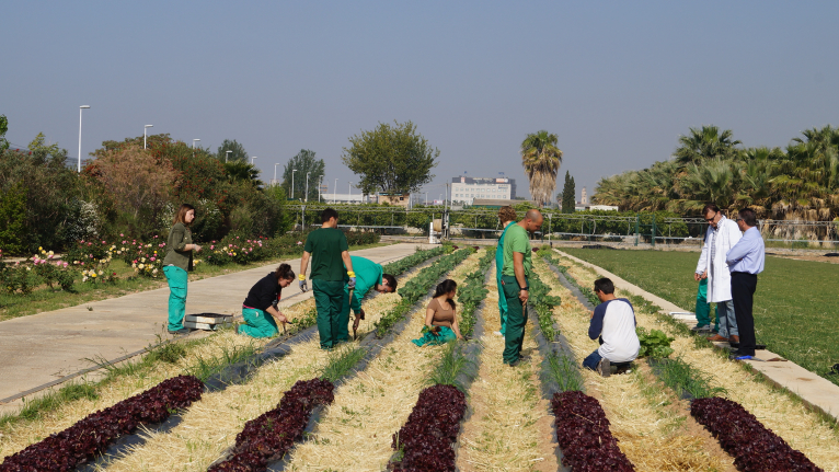 La Escuela de Capataces de la Diputació organiza la I Feria Profesional Agrícola y de Jardinería