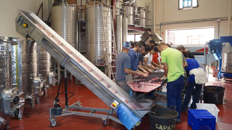 La Escuela de Viticultura potencia el tejido empresarial enológico