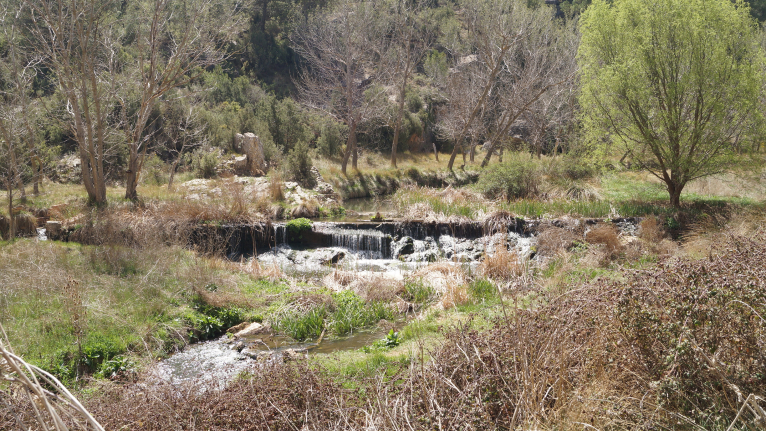 Un alumne de l’Escola de Requena afronta la recuperació de la ribera del Magre