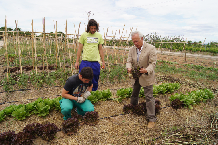 Aprendre a cultivar en un 8 x 4