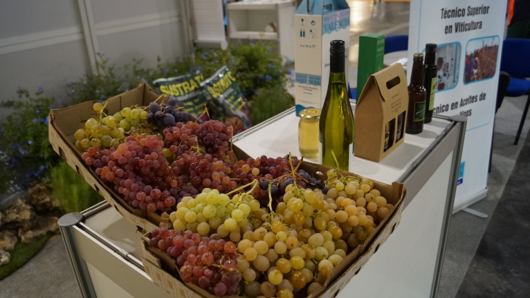 La Diputación lleva sus jardines y viñedos a  Vegetal World 2014