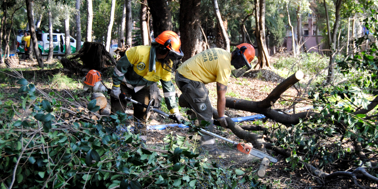 Impuls Econòmic Local audita el estado de las bases de sus brigadas forestales 