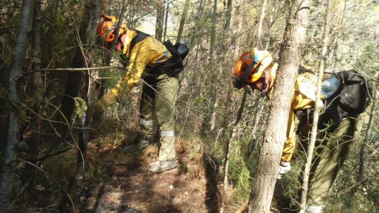 Divalterra ha movilizado a más de 250 brigadistas en los incendios de Artana y Tavernes de la Valldigna