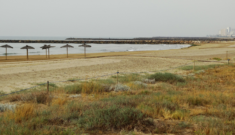 La Diputació impulsa la conservación y protección de los ecosistemas dunares 