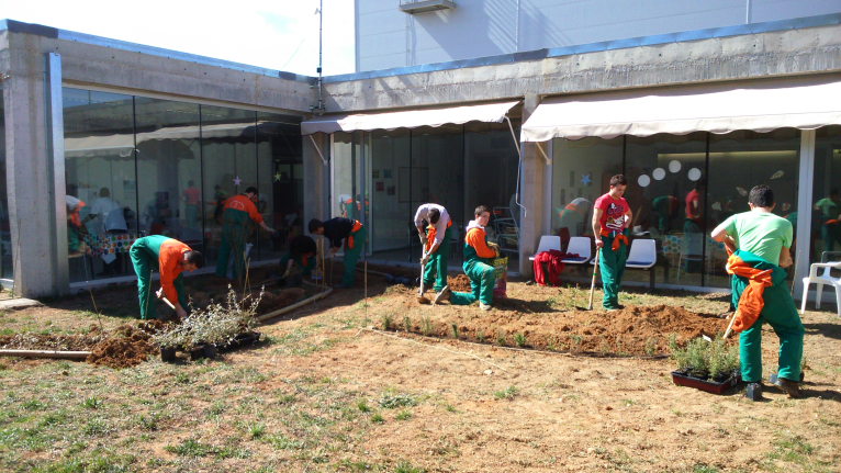 La Escuela de Viticultura y Forestales de Requena colabora en proyectos sociales del municipio