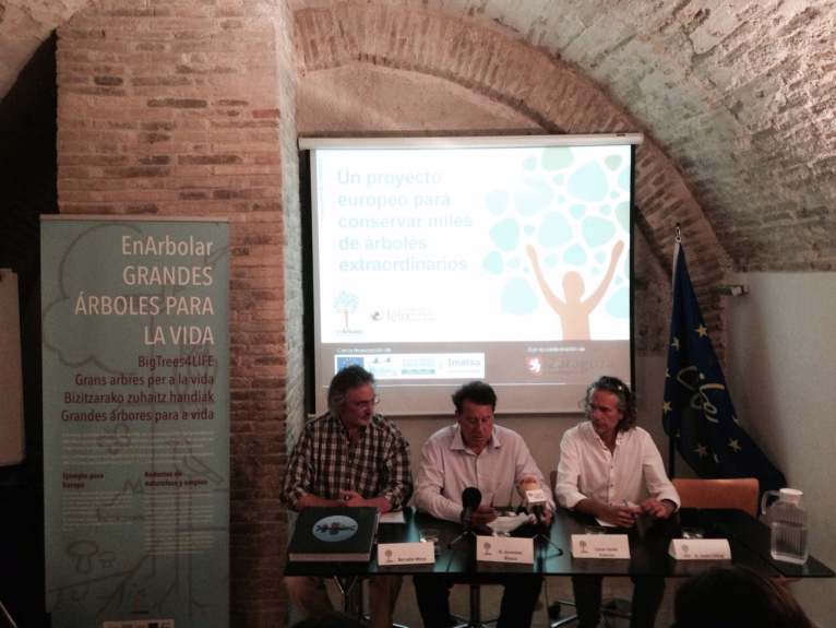 EnArbolar visita Zaragoza y propicia un encuentro sobre arbolado singular