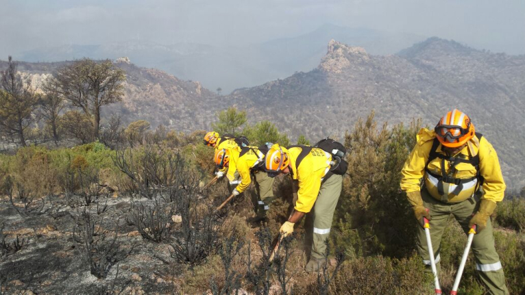 Cincuenta brigadas forestales de Imelsa han actuado ya en el incendio de Montán 