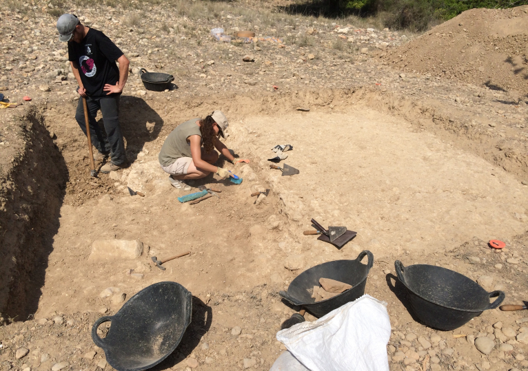 La segona fase d'investigació a la Carència descobrix restes rellevants de producció agrícola romana