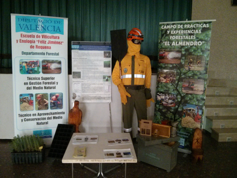 Una investigación de la Escuela de Requena revela la necesidad de tratar las zonas forestales incendiadas 