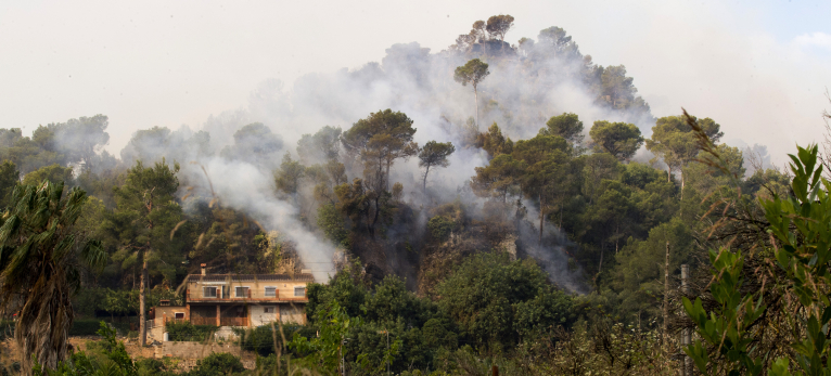 Divalterra té en actiu vint-i-sis brigades en els treballs d'extinció dels tres incendis de la província