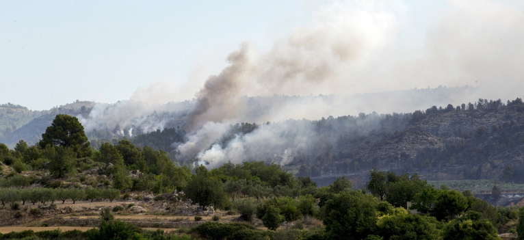 El Área de Medio Ambiente entrega a la Generalitat la estimación de daños por los incendios forestales de junio
