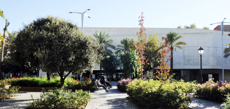 El MuVIM estrena jardín