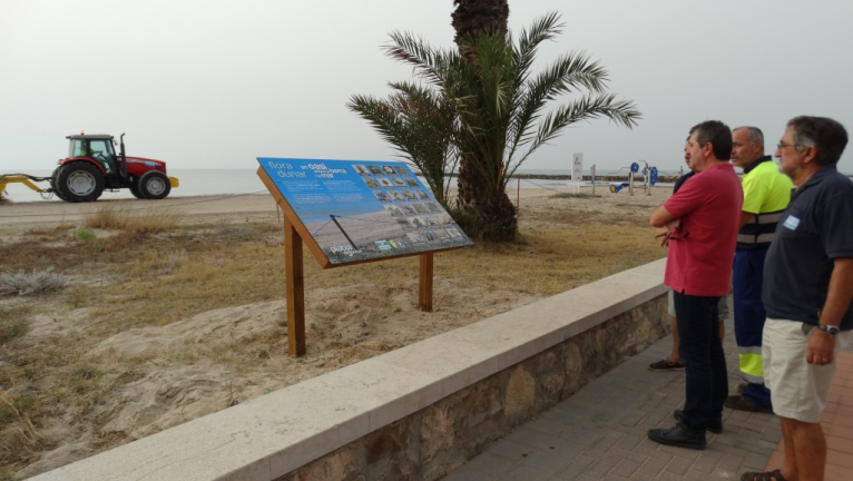 La Diputació promou actuacions de restauració i manteniment de l’ecosistema dunar al litoral valencià
