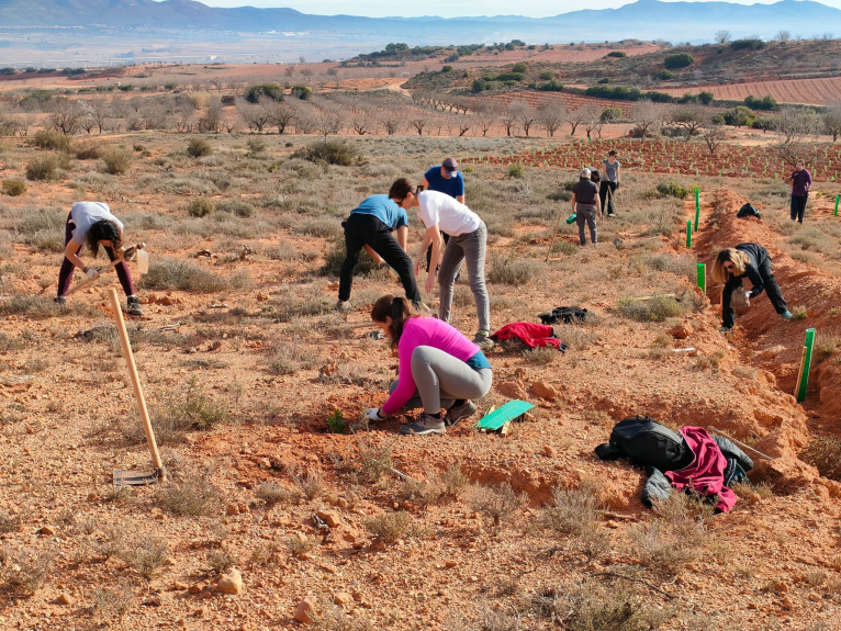 Alumnos de la Escuela Félix Jiménez de Requena participan en el proyecto ‘Semillas para la esperanza’ de la asociación Reforesta