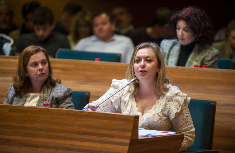 La Diputació aprova una declaració conjunta del 8M amb el focus en la dona rural i contra els ventres de lloguer