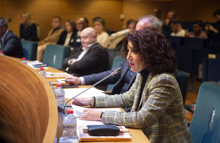 La Diputació de València incrementa en medio millón de euros el presupuesto para salud mental
