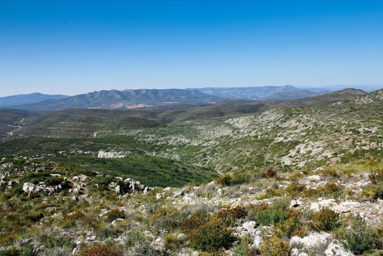 La Diputació de Valencia ayuda a los ayuntamientos a gestionar parques naturales municipales y sustituir la caña en las riberas de los ríos 