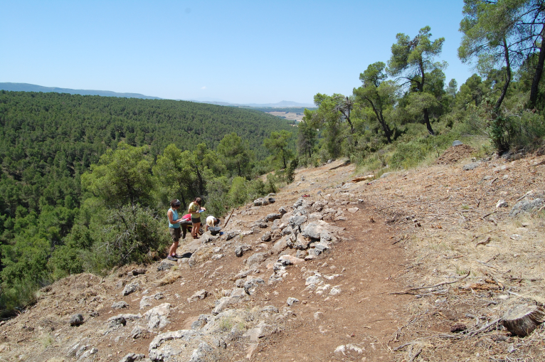 El Museu de Prehistòria trau a la llum la xarxa viària d'accés al poblat iber de La Bastida de les Alcusses