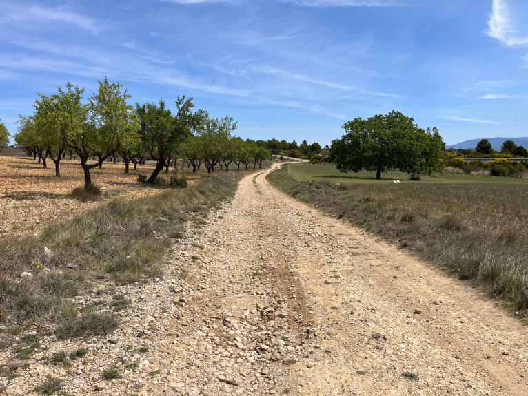 La Diputació de València aprueba la subvención para mejorar la carretera que une el Rincón de Ademuz y la provincia de Cuenca