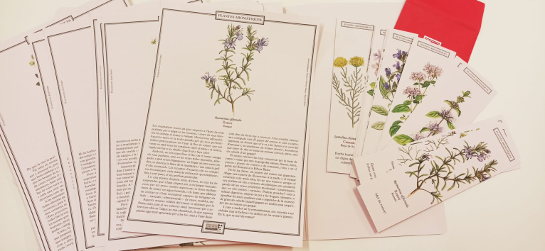 La Diputació de València presenta la campanya de promoció lingüística: la flora aromàtica