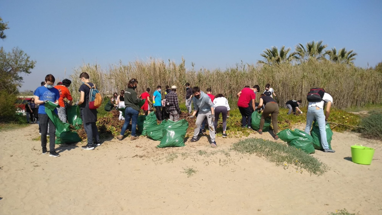 Primera actuación del proyecto de renaturalización de playas de la Diputació de València