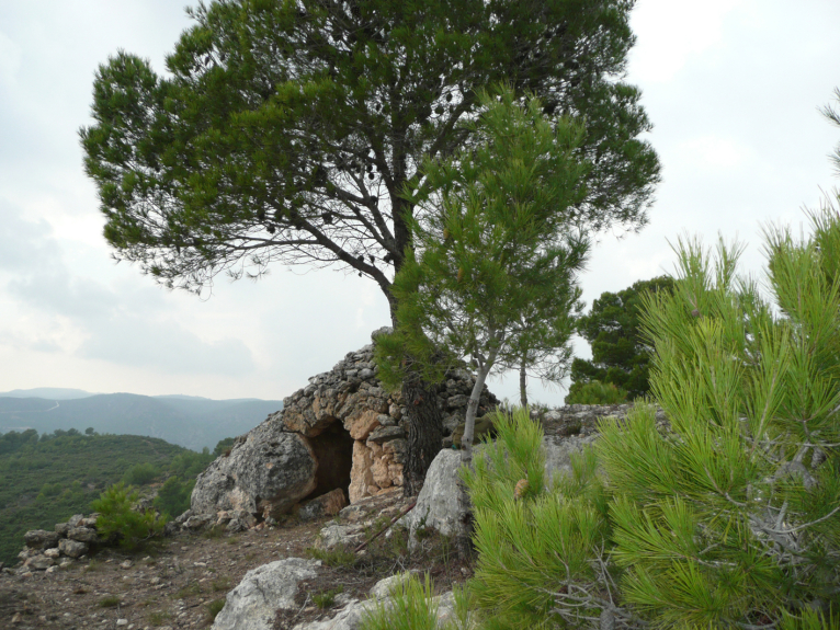 Yátova incluye naturaleza y gastronomía en su ruta medioambiental 