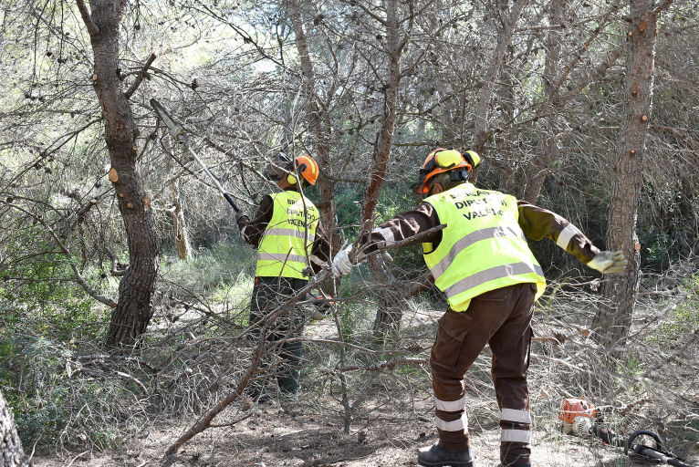 Las brigadas de la Diputació trabajan en la zona de El Saler y núcleos de La Devesa para prevenir incendios