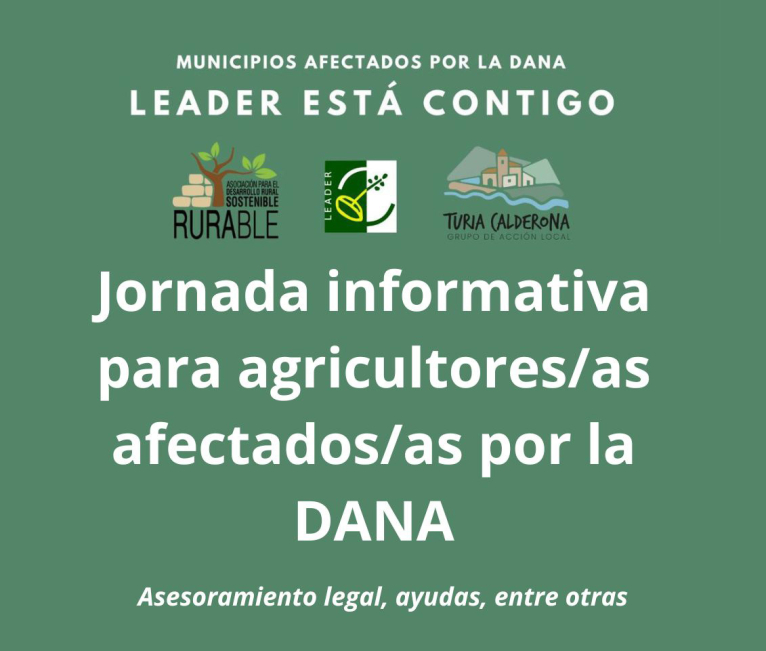 Los grupos de acción local Rurable y Turia Calderona asesoran a empresas y autónomos de pueblos rurales afectados por la DANA con la ayuda de la Diputació