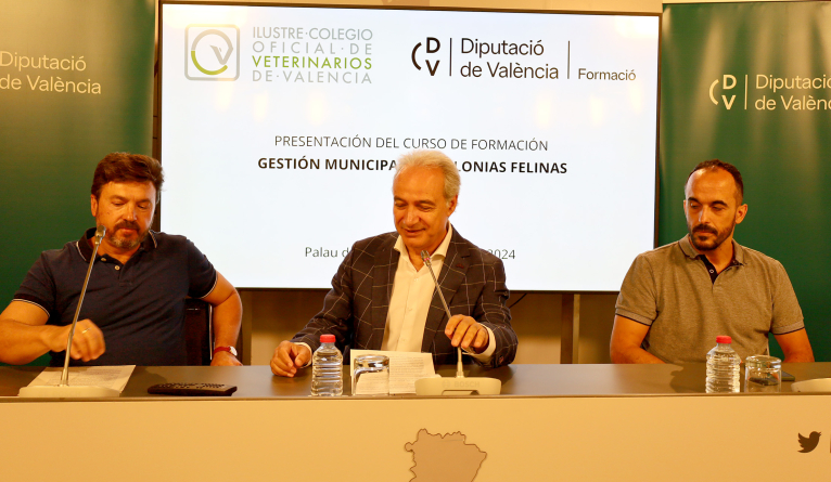 La Diputació de València ajudarà els ajuntaments a controlar les colònies felines
