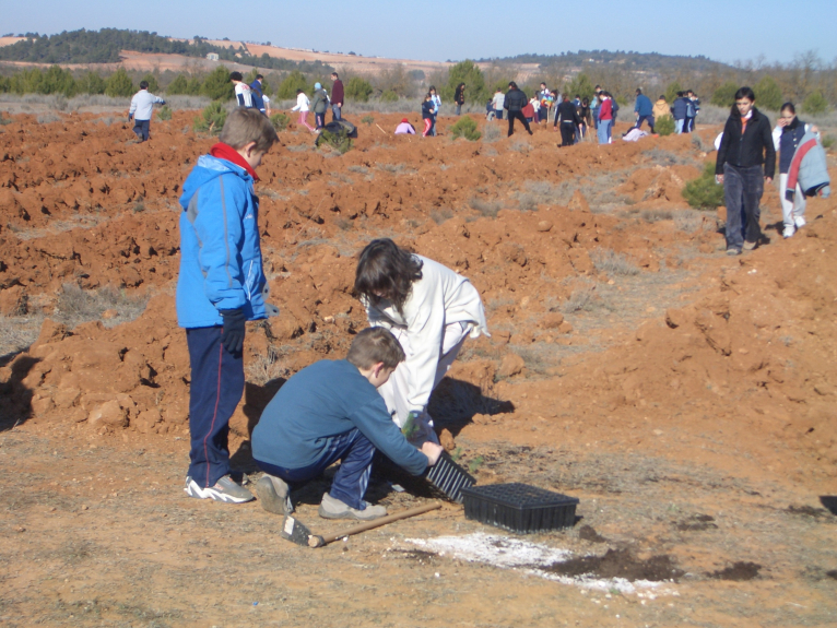 Los alumnos de la Escuela de Viticultura ayudan a 300 escolares a plantar pinos y encinas en Requena
